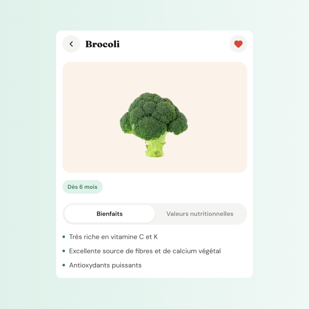Fiche aliment Brocoli dans l'app BébéScan : dès 6 mois, bienfaits nutritionnels.